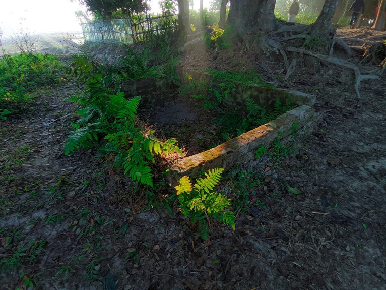 instagram for business growth